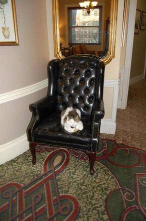 Windsor Inn Hotel, Washington DC